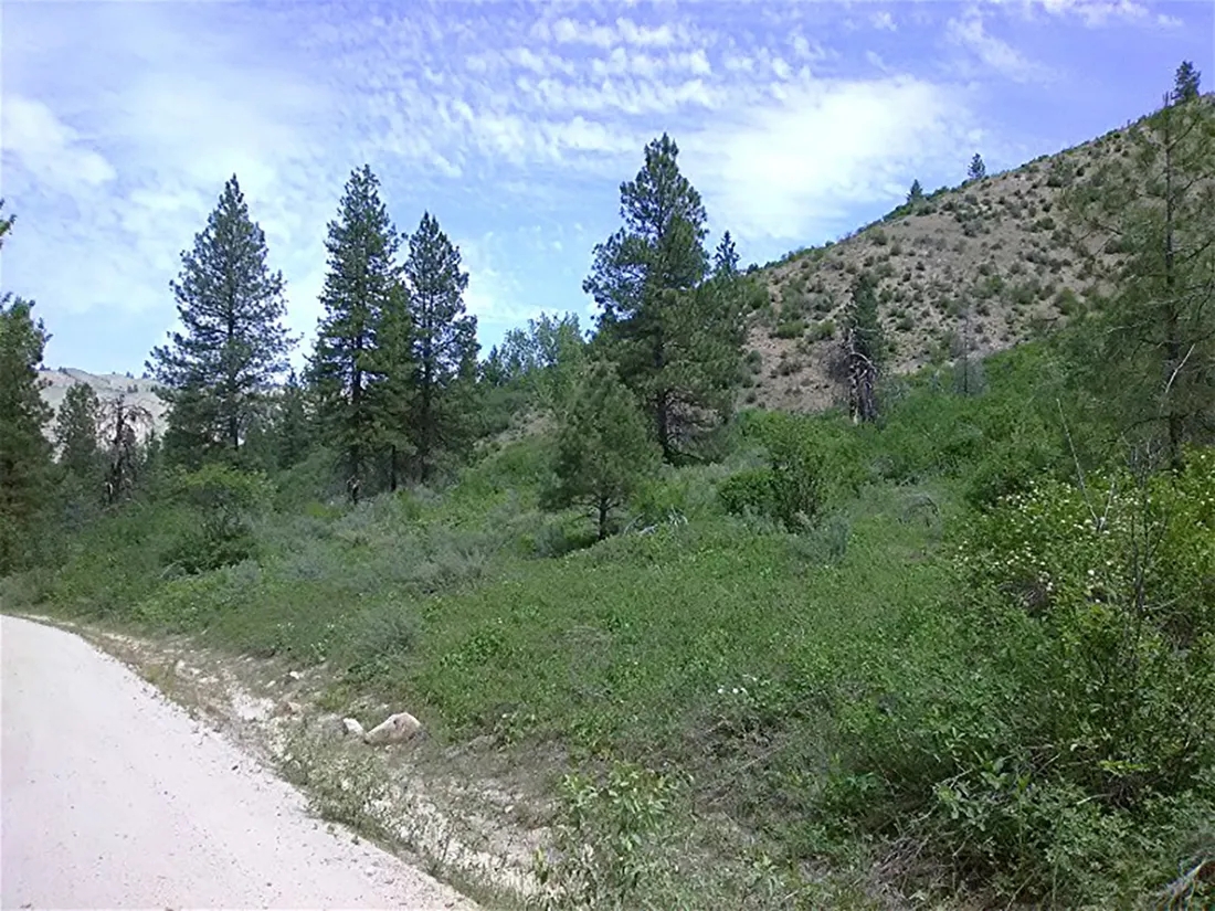 Grimes Pass Land Hunting Land for Sale