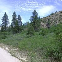 Grimes Pass Land