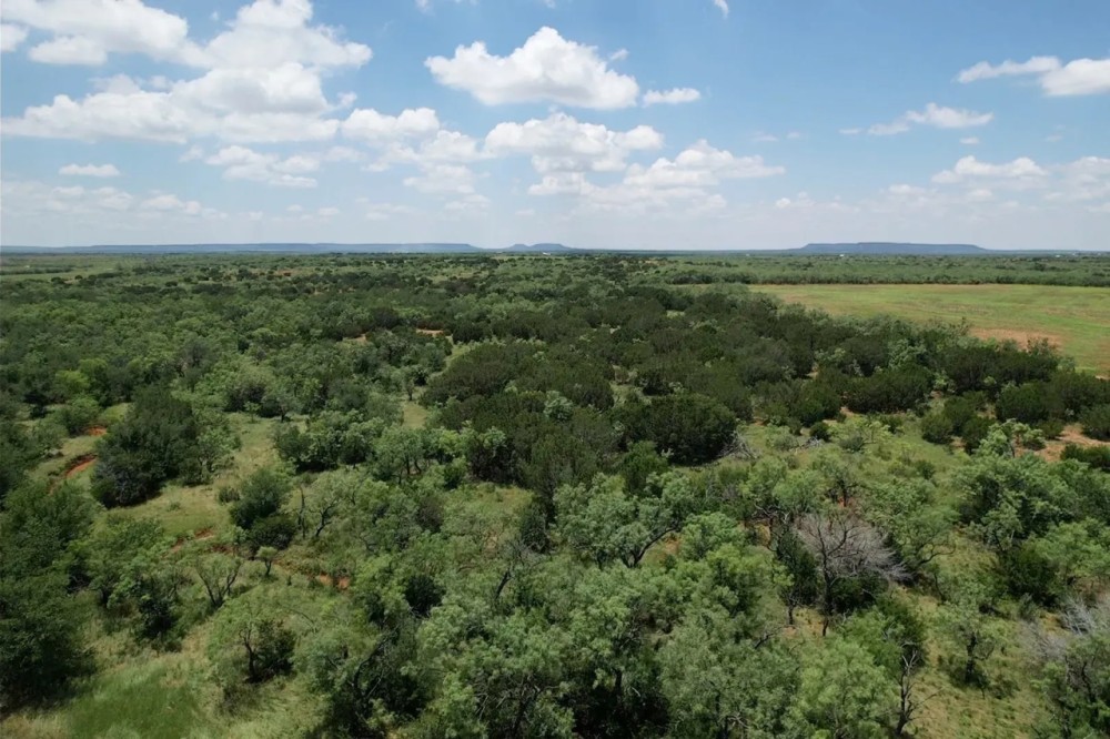 20 - Acres Taylor County Tract 6 featured image