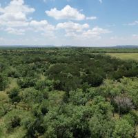 20 - Acres Taylor County Tract 6