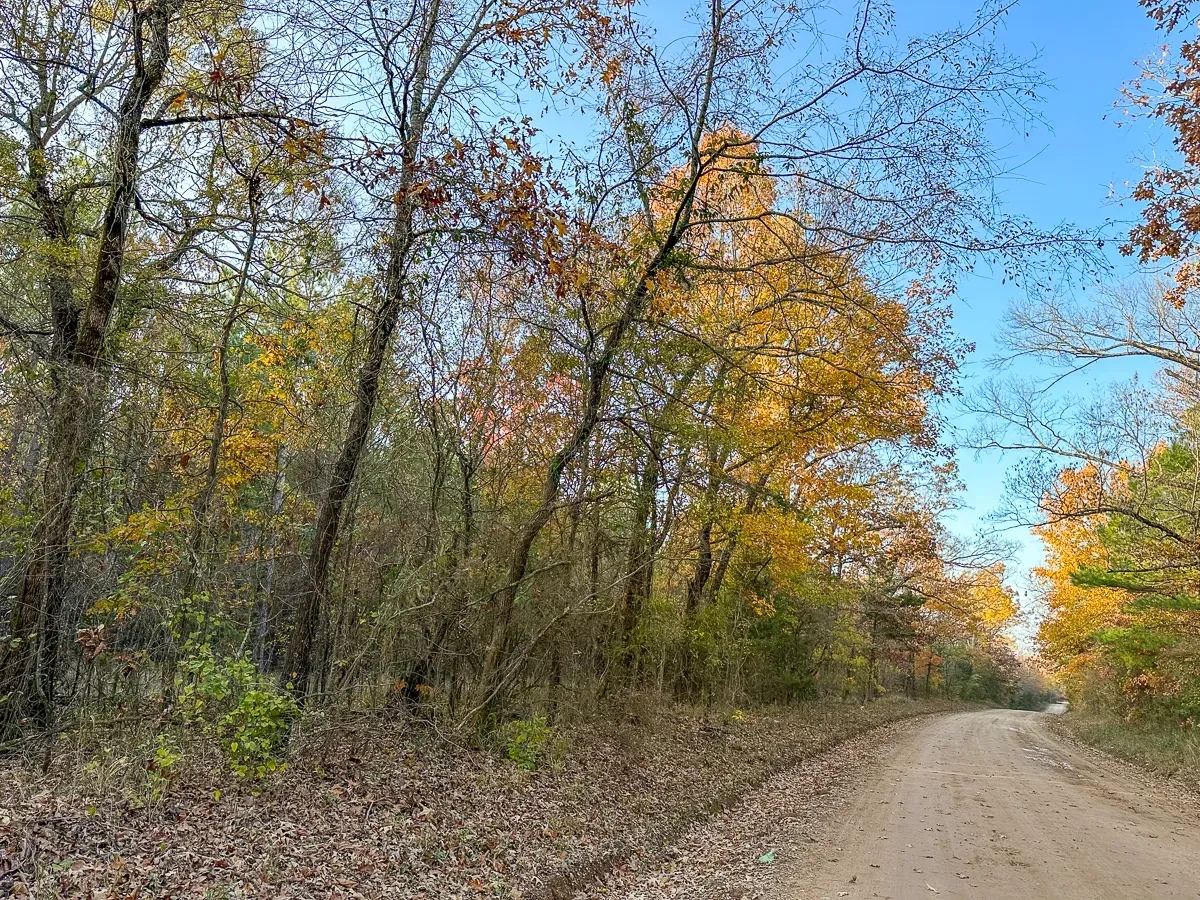 628 Acres Maya 1004 Tract 4 Hunting Land for Sale HuntingLocator