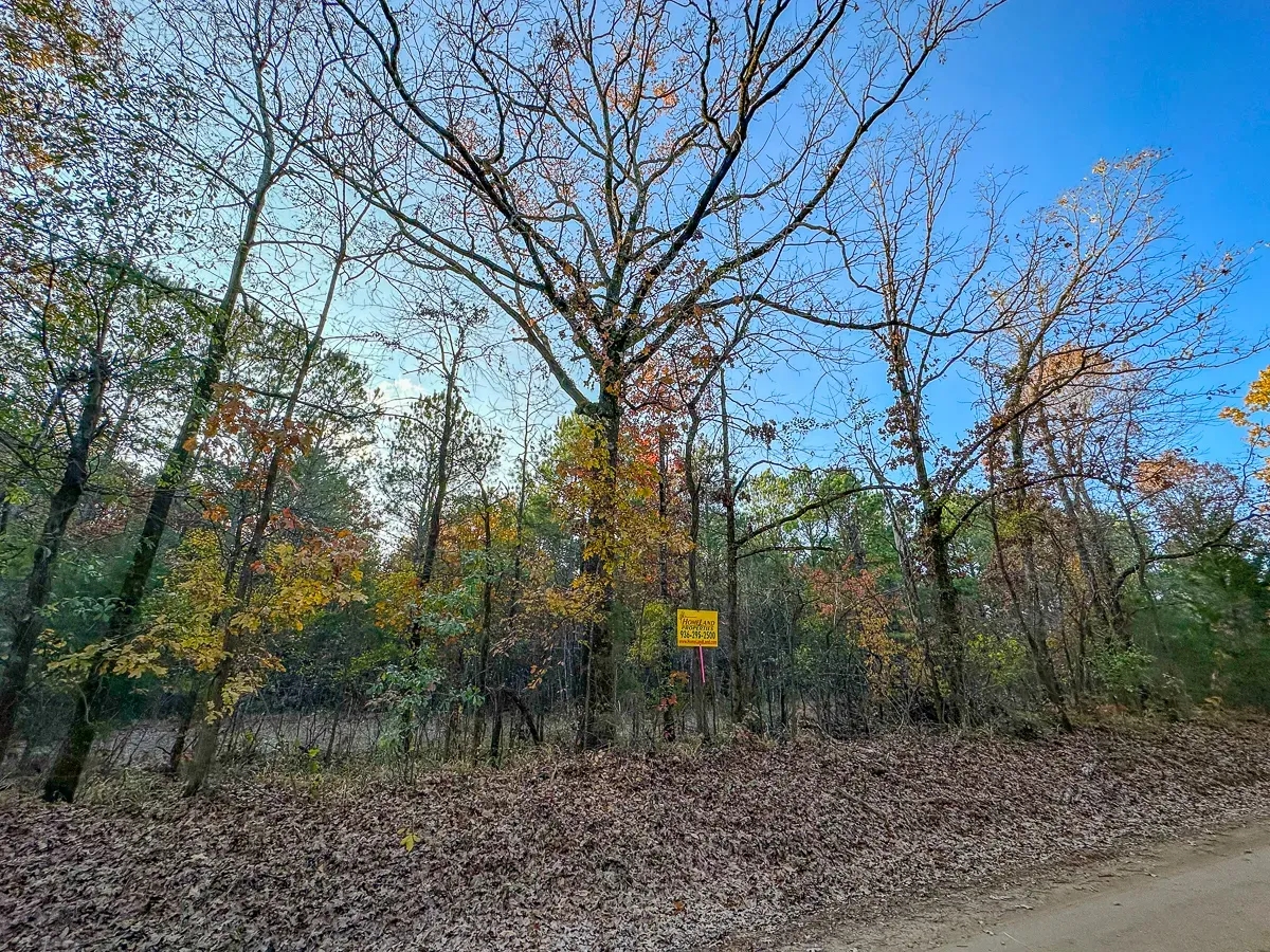 628 Acres Maya 1004 Tract 4 Hunting Land for Sale HuntingLocator