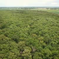99 Acres in Sunflower County in Shaw MS