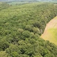 99 Acres in Sunflower County in Shaw MS images 2