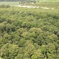 99 Acres in Sunflower County in Shaw MS images 3