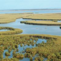 Delta NWR of 48,800 acres Waterfowl Hunting Land in Plaquemines, LA images 5