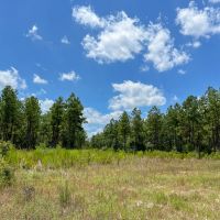38 Acres CR 1420 T-20 images 4