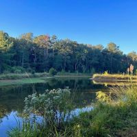 Smithdale MS 100 - Acres For Sale