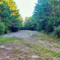Smithdale MS 100 - Acres For Sale images 2