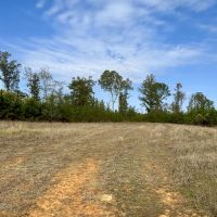 243 Acres in Winston County MS
