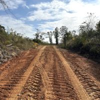 243 Acres in Winston County MS images 5