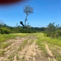 35 acres Magnolia Holmesville Road images 4