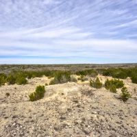 Rausch Ranch images 3