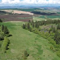 Howerton Spring Ranch