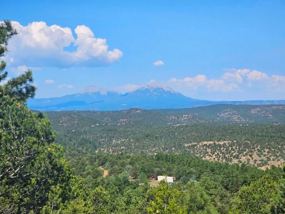 67 Ponderosa Hills featured image