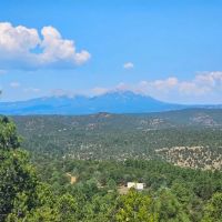 67 Ponderosa Hills