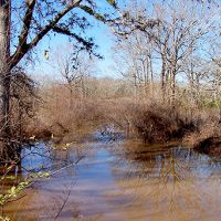 6,000 acres Grand Cote NWR Deer and Waterfowl Hunting Land in Avoyelles, LA images 2