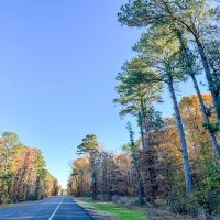 23 Acres Hwy 37 T-7 Kiskadee images 2