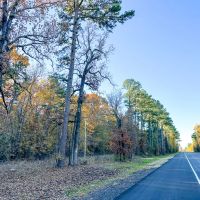23 Acres Hwy 37 T-7 Kiskadee images 3