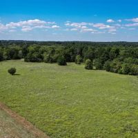 225 Acres FM 1374 images 5