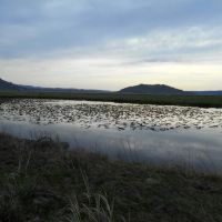 Four J Ranch images 3