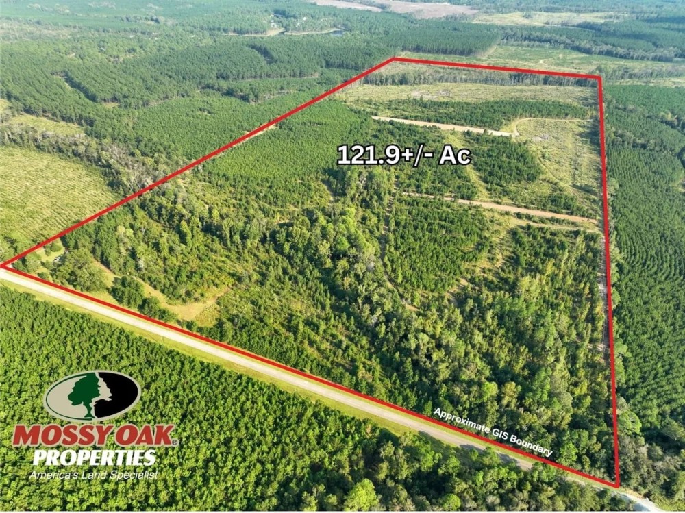 121 - Acre Hunting Tract with a Pond Well in Dodge Co GA featured image