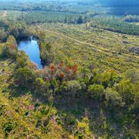 121 - Acre Hunting Tract with a Pond Well in Dodge Co GA images 2