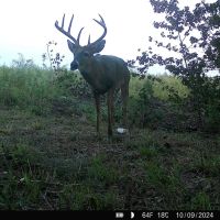 121 - Acre Hunting Tract with a Pond Well in Dodge Co GA images 5
