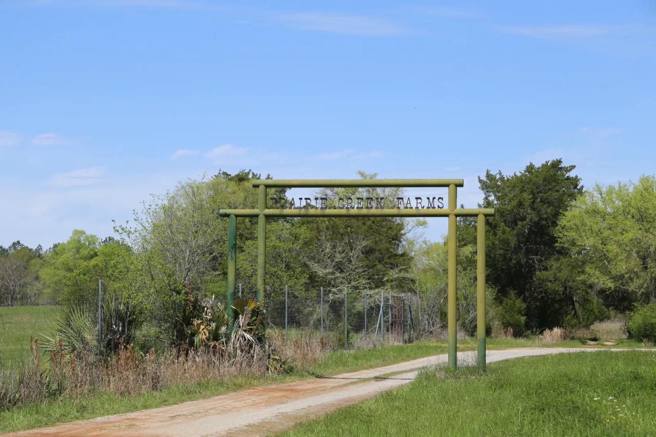 Prairie Creek Farms Hunting Land for Sale