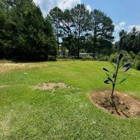 3.70 Acres in Pike County with Some Improvements images 4