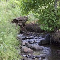 Jim Creek Retreat images 2