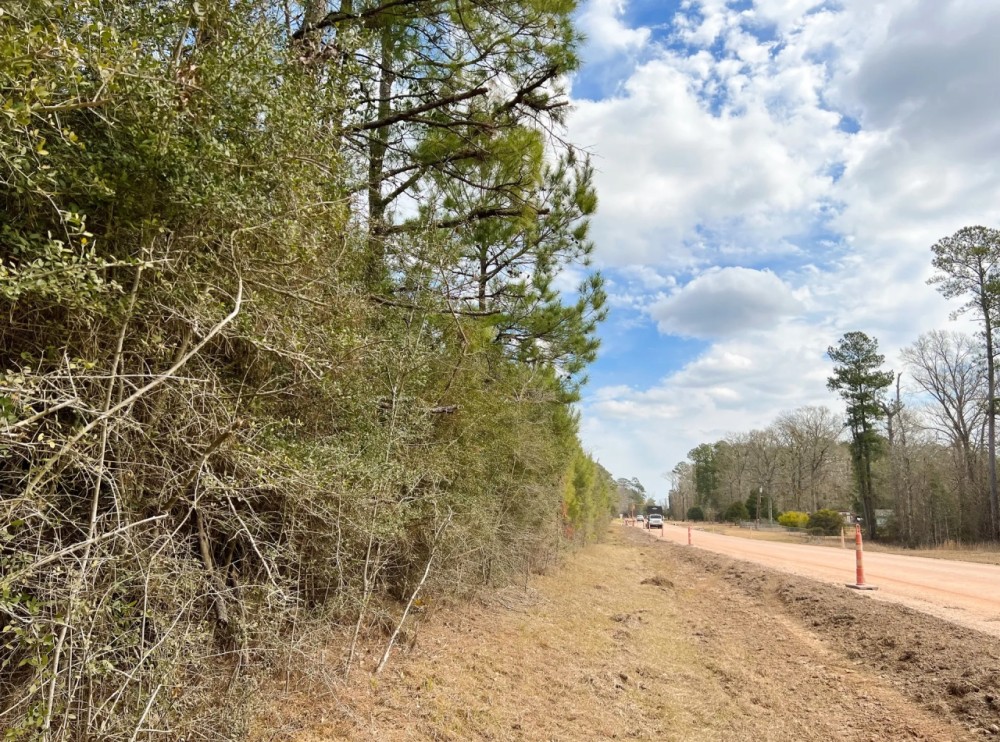 36 Acres T11 FM 1746 Hunting Land for Sale