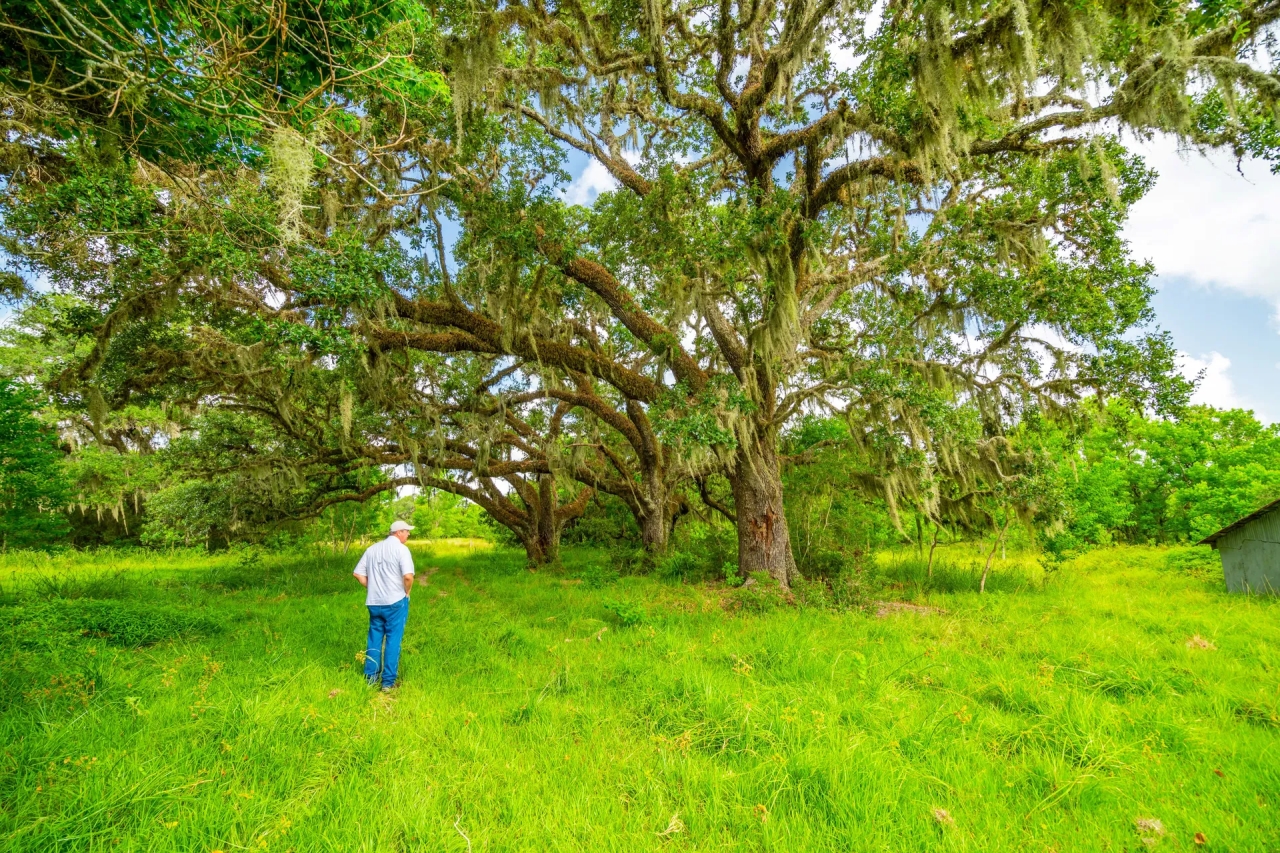 River Bottom Ranch - Hunting Land for Sale - HuntingLocator.com ...