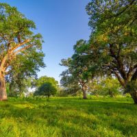 River Bottom Ranch images 4