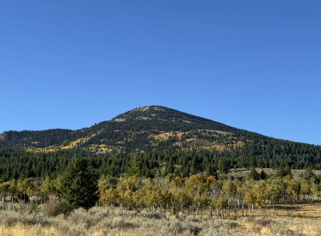 SixS Ranch Hunting Land for Sale