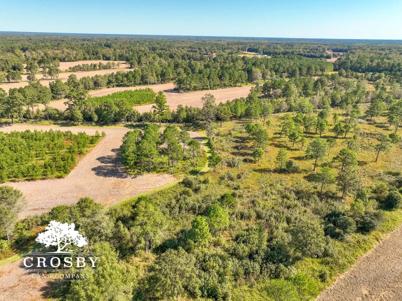 Jaywood Plantation Hunting Land for Sale