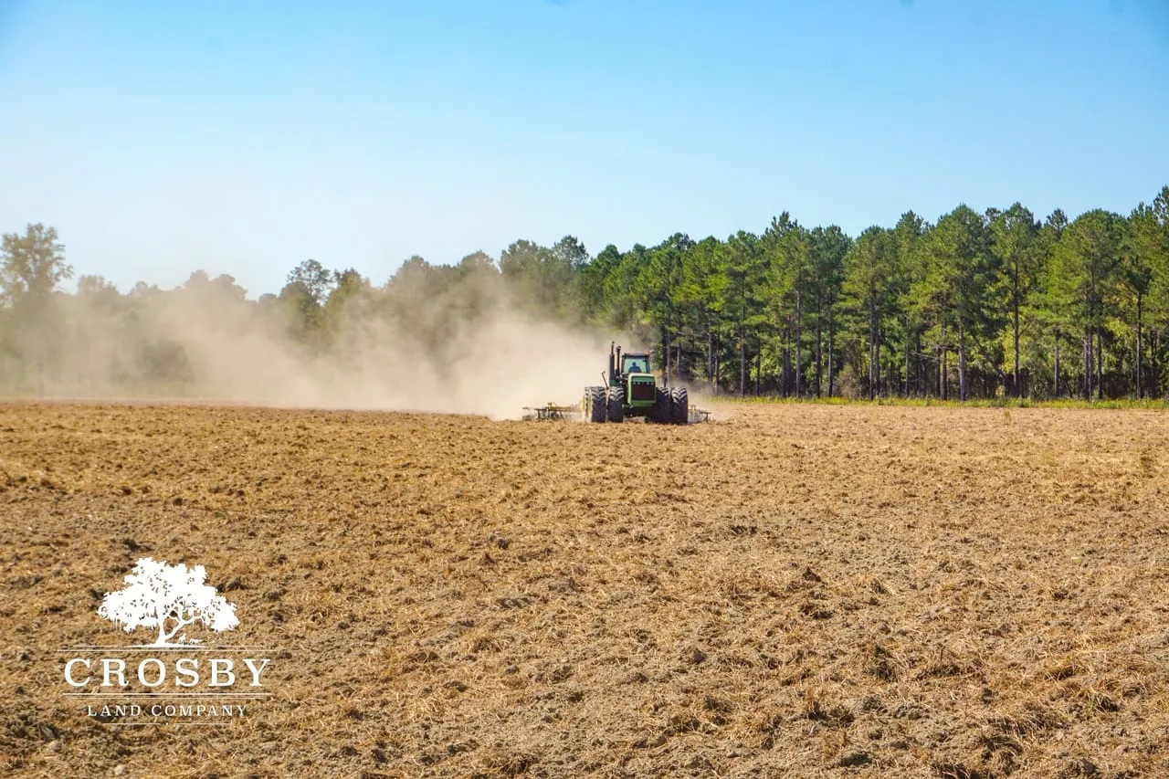 Jaywood Plantation Hunting Land for Sale