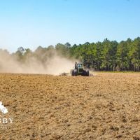 Jaywood Plantation images 4