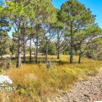 Jaywood Plantation images 5