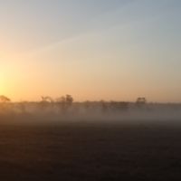 350 Acres Deer Hunting Lake Ophelia NWR in Avoyelles, LA images 3