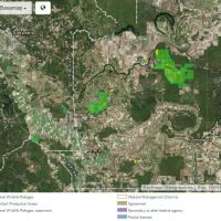 350 Acres Deer Hunting Lake Ophelia NWR in Avoyelles, LA images 4