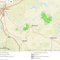 350 Acres Deer Hunting Lake Ophelia NWR in Avoyelles, LA images 2