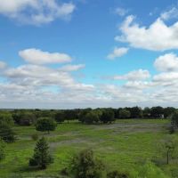 314 Acres Trenton TX Fannin County North Texas Development Opportunity images 3