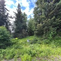 Mountain View Lot in Ninilchik