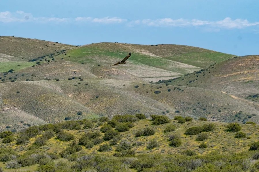 Pritchard Sumner Ranch featured image