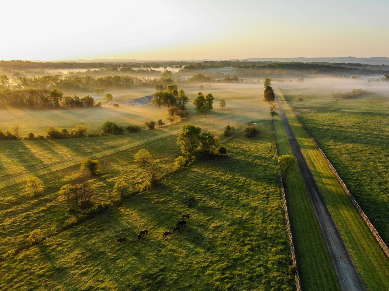 Llangollen Hunting Land for Sale