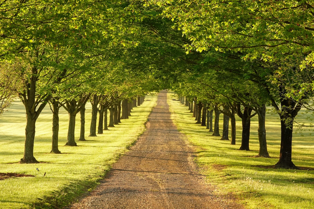 Llangollen Hunting Land for Sale