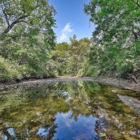 135 acres CR 221 Weimar TX Colorado County images 2