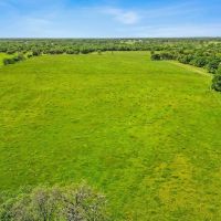 135 acres CR 221 Weimar TX Colorado County images 3