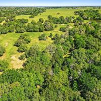 135 acres CR 221 Weimar TX Colorado County images 4